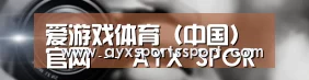 公司动态