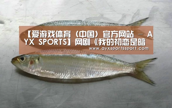 爱游戏体育（中国）官方网站 - AYX SPORTS直播
