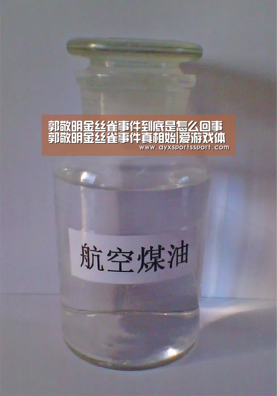 爱游戏体育（中国）官方网站 - AYX SPORTS直播
