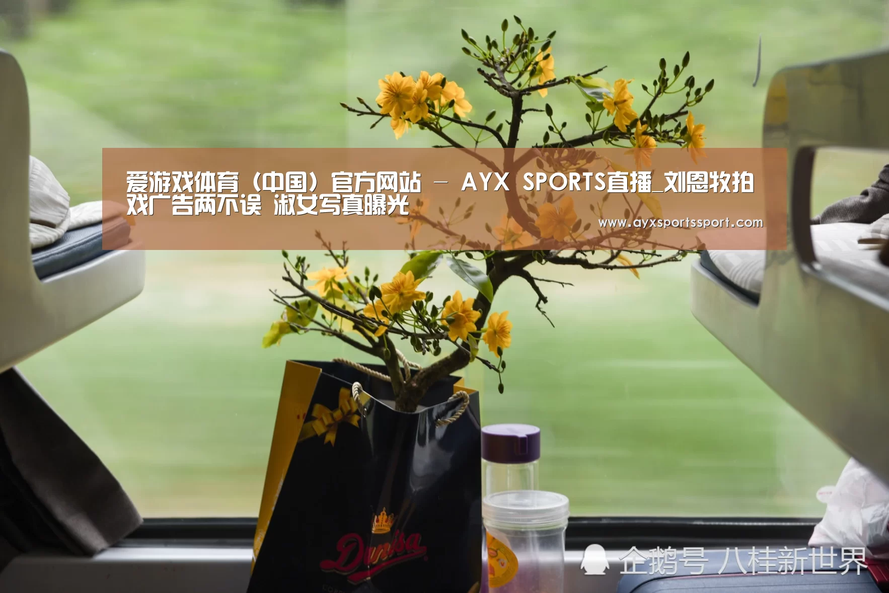 爱游戏体育（中国）官方网站 - AYX SPORTS