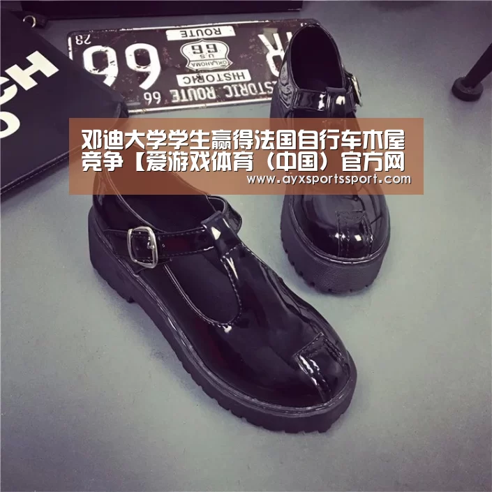 邓迪大学学生赢得法国自行车木屋竞争【爱游戏体育(中国)官方网站 - AYX SPORTS】(图1) 爱游戏体育(中国)官方网站 - AYX SPORTS