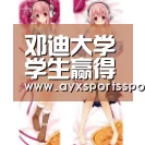 邓迪大学学生赢得法国自行车木屋竞争【爱游戏体育(中国)官方网站 - AYX SPORTS】(图2) 爱游戏体育(中国)官方网站 - AYX SPORTS直播